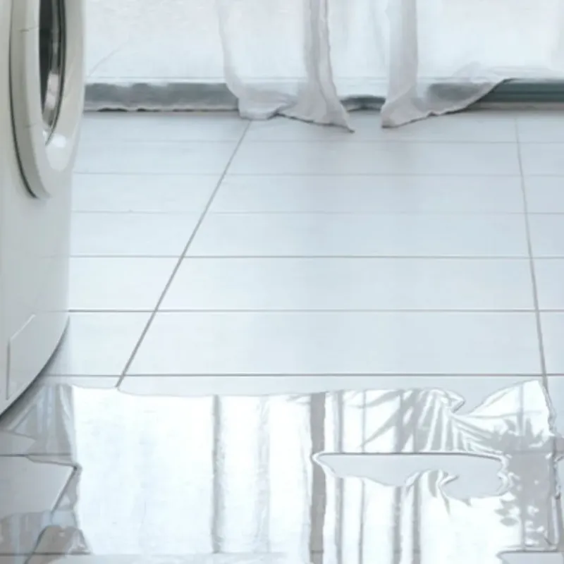 Appliance Leak Cleanup in Kent County, DE